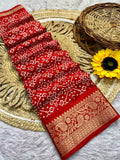 DOLA SILK SPARKLE ZARI PRINT WITH JACQUARD BODAR